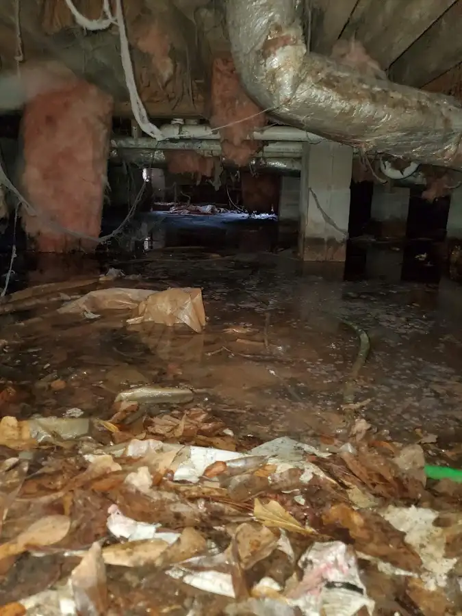 Crawl space flood assessment for Leak Detection & Repair in Ridgefield